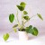 bmbs_sq-082.jpg