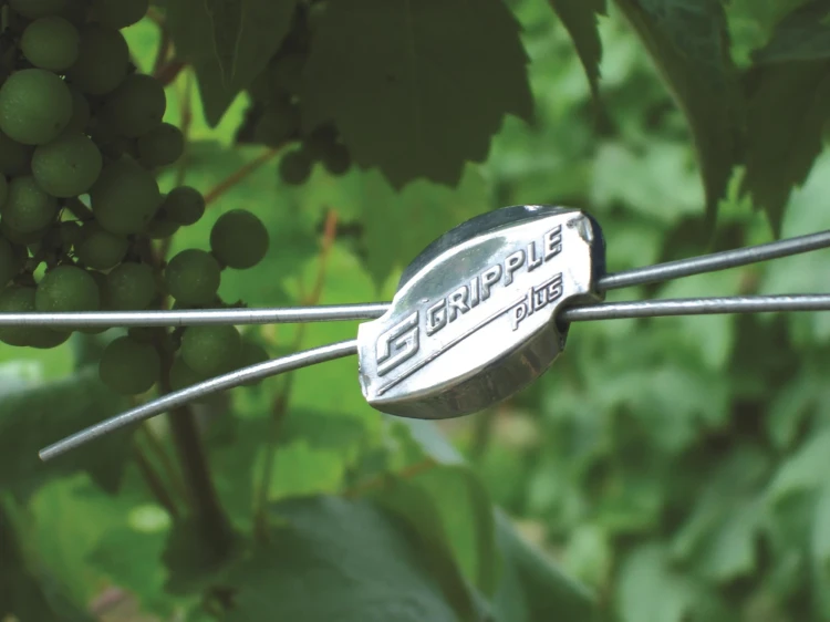 461eced08f761e899aabec3983f4710279715462.webp