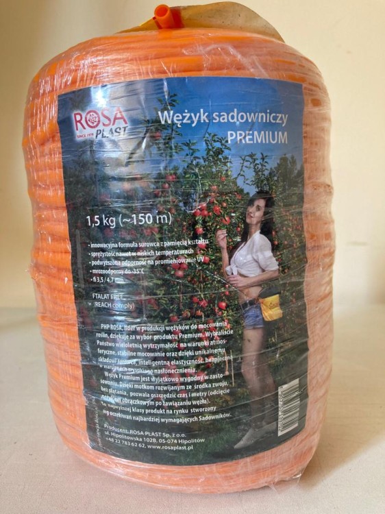 Wężyk 1.jpg