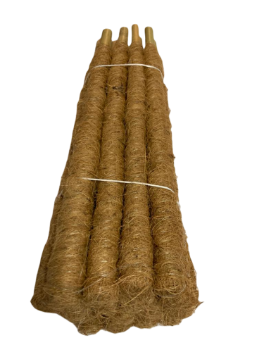 8ae5c125-9db9-46d2-9daa-ccc6d8410f17.png