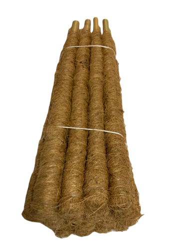 8ae5c125-9db9-46d2-9daa-ccc6d8410f17.png