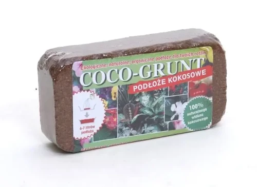 cocogrunt-0.5.webp