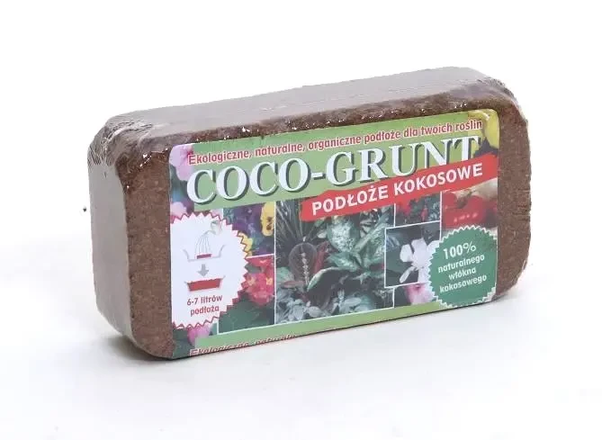 cocogrunt-0.5.webp