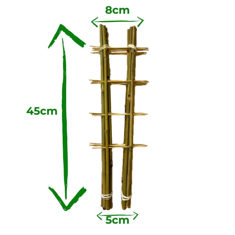 Drabinka bambusowa - 45cm - S2 - 10 sztuk 2