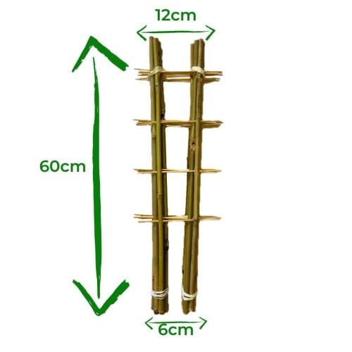 Drabinka bambusowa - 60cm - S2 - 10 sztuk