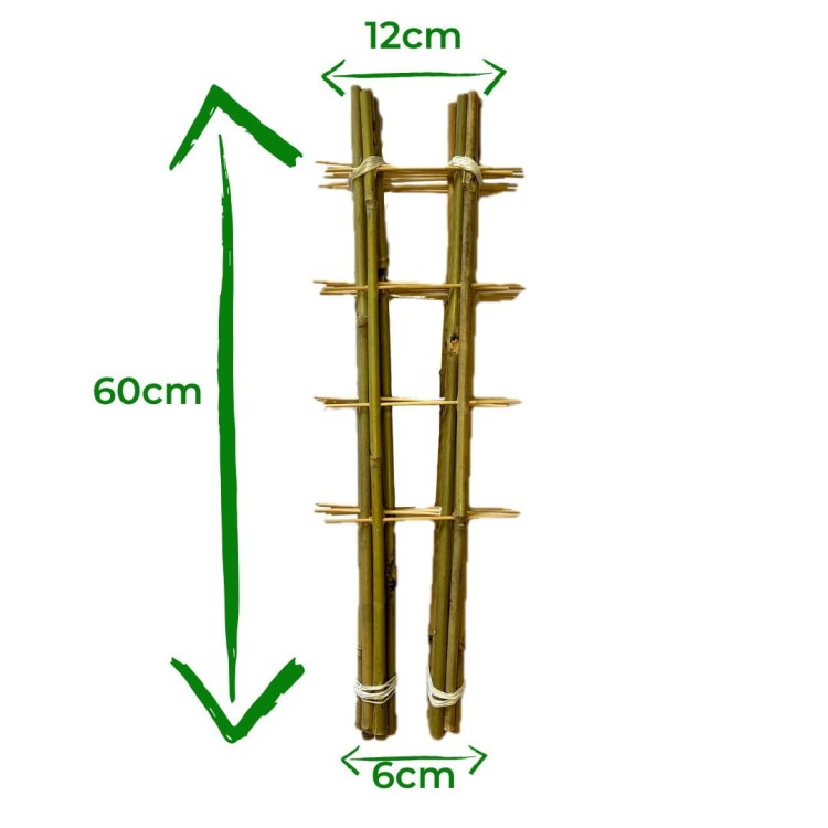 Drabinka bambusowa - 60cm - S2 - 10 sztuk