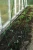 siatka 2.webp