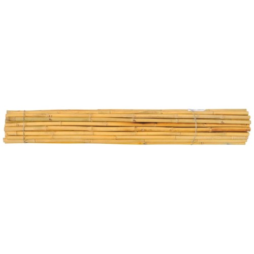 Thai bamboo.jpg