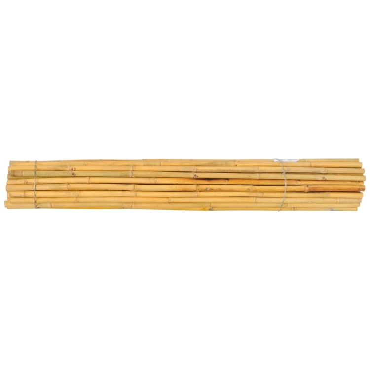 Thai bamboo.jpg