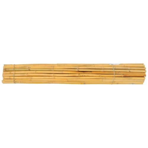 Thai bamboo.jpg