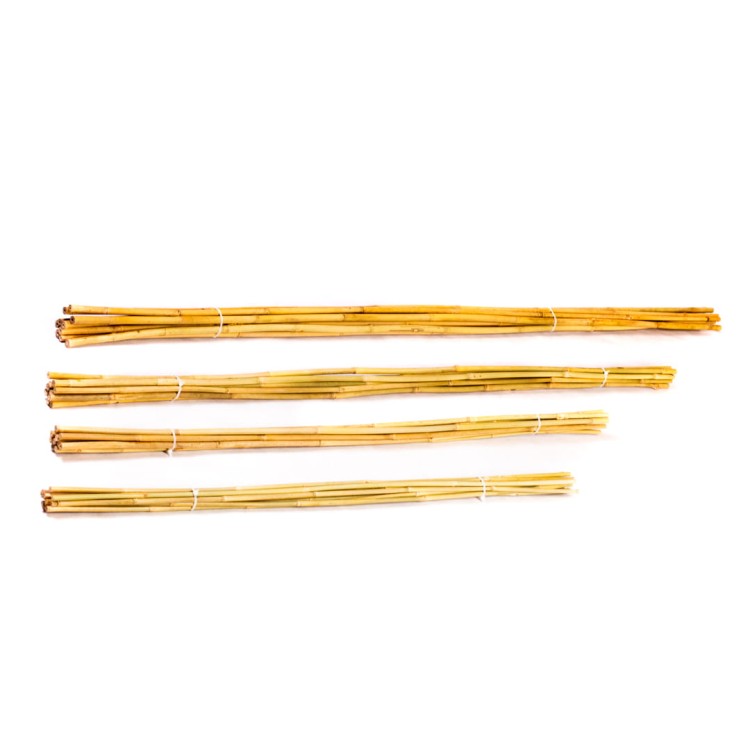 Tyczki bambusowe - 180cm - 16/18mm - 50 sztuk -1