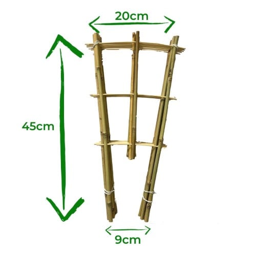 Drabinka bambusowa - 45cm - S3 - 10 sztuk 2