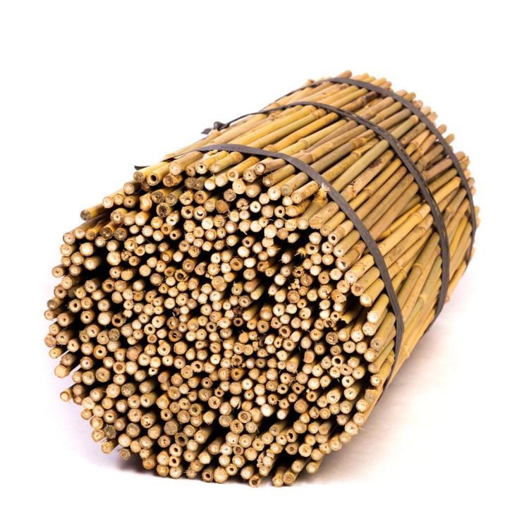 Tyczki bambusowe - 45cm - 8/10mm - 500 sztuk