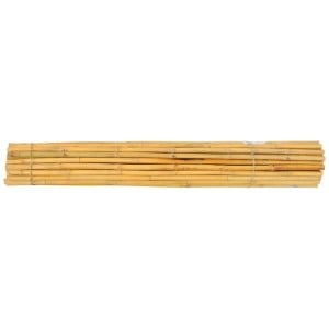Thai bamboo.jpg
