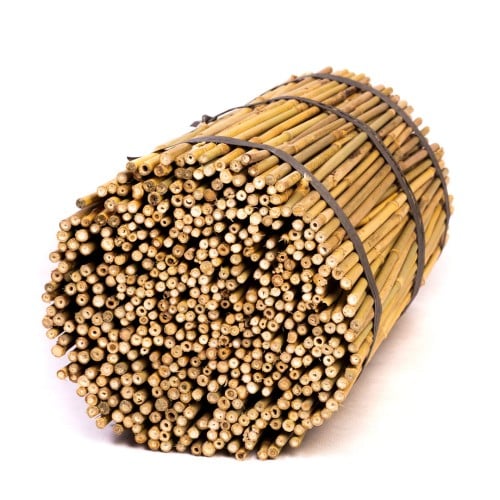 Tyczki bambusowe - 50cm - 10/12mm - 10 sztuk