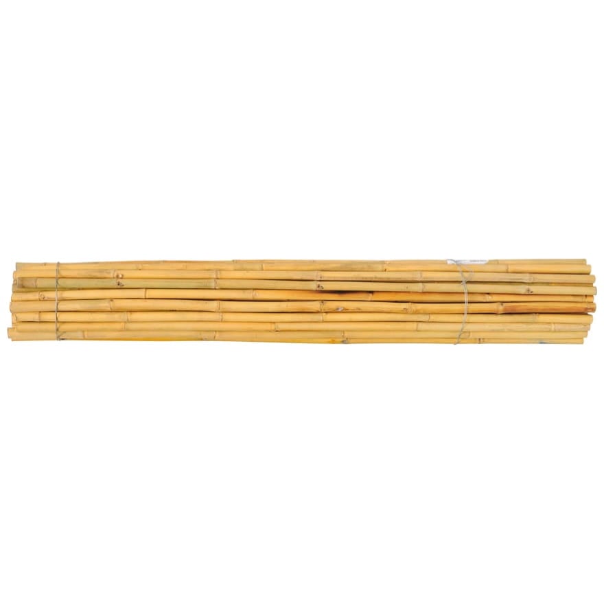 Tyczki bambusowe tajskie - 235cm -22/24mm - 1sztuka  
