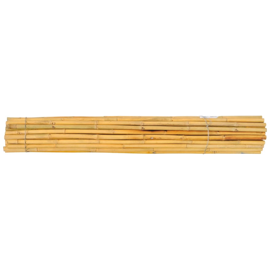 Tyczki bambusowe tajskie - 235cm -22/24mm - 10sztuk 