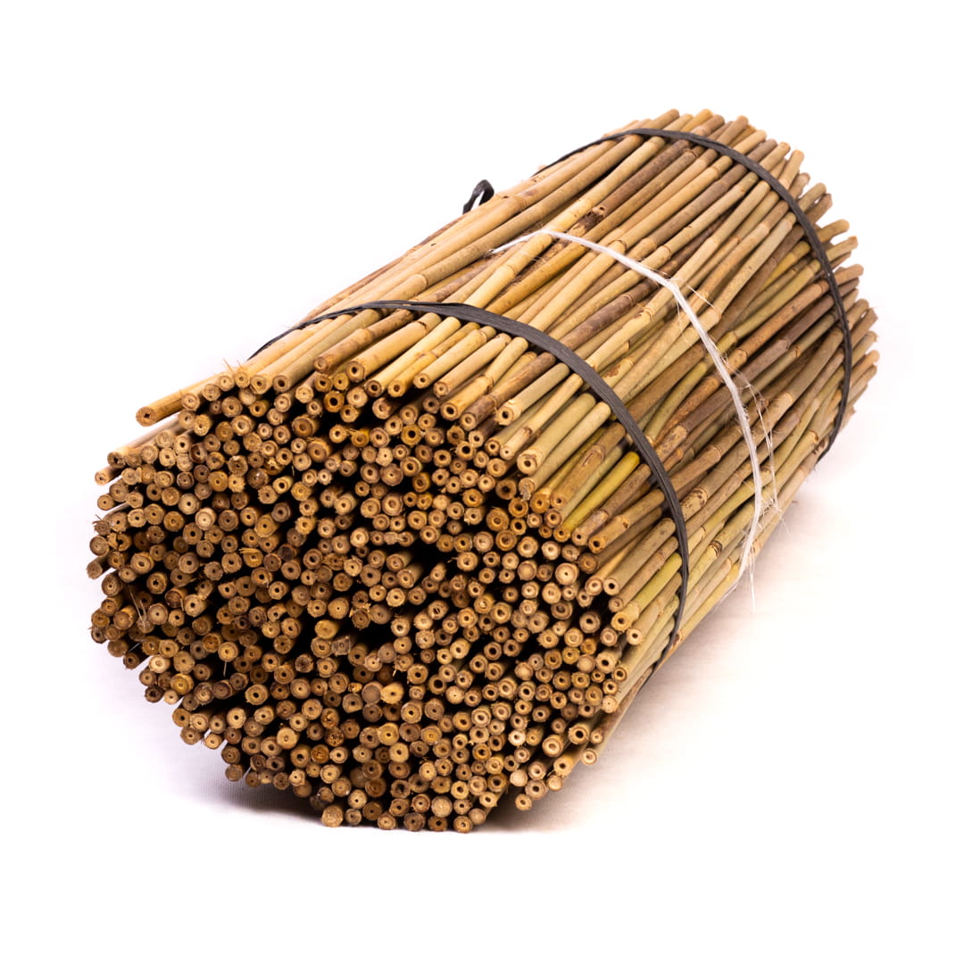 Tyczki bambusowe - 75cm - 6/8mm - 1000 sztuk 